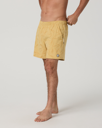 Brass Vera